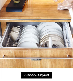 fisher_paykel.jpg