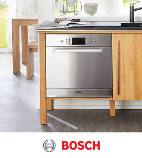 bosch.jpg