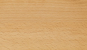 buche_holzart.jpg